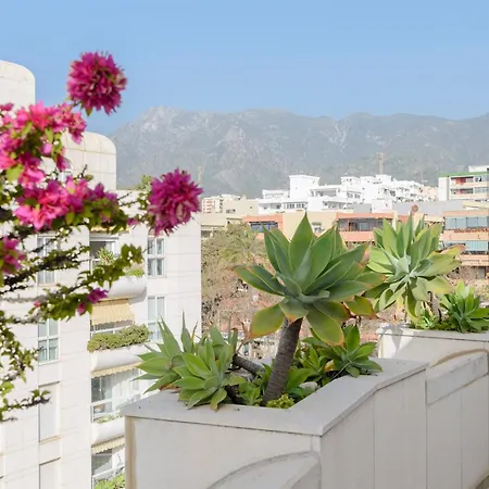 Appartement Pass The Keys Stunning Beachfront In *